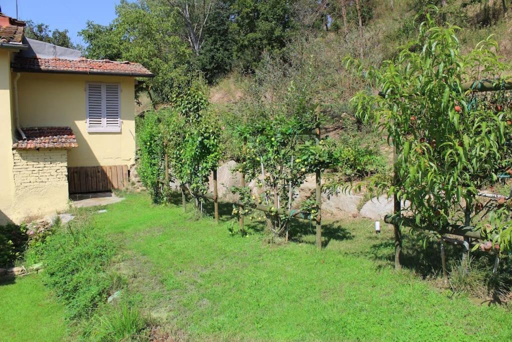 Casa Barulli - Tuscany San Giovanni Valdarno Extérieur photo
